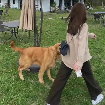 革命往事